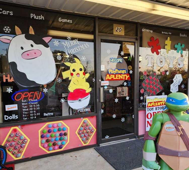 Playthings Aplenty Toy Store (Spartanburg,&nbspSC)